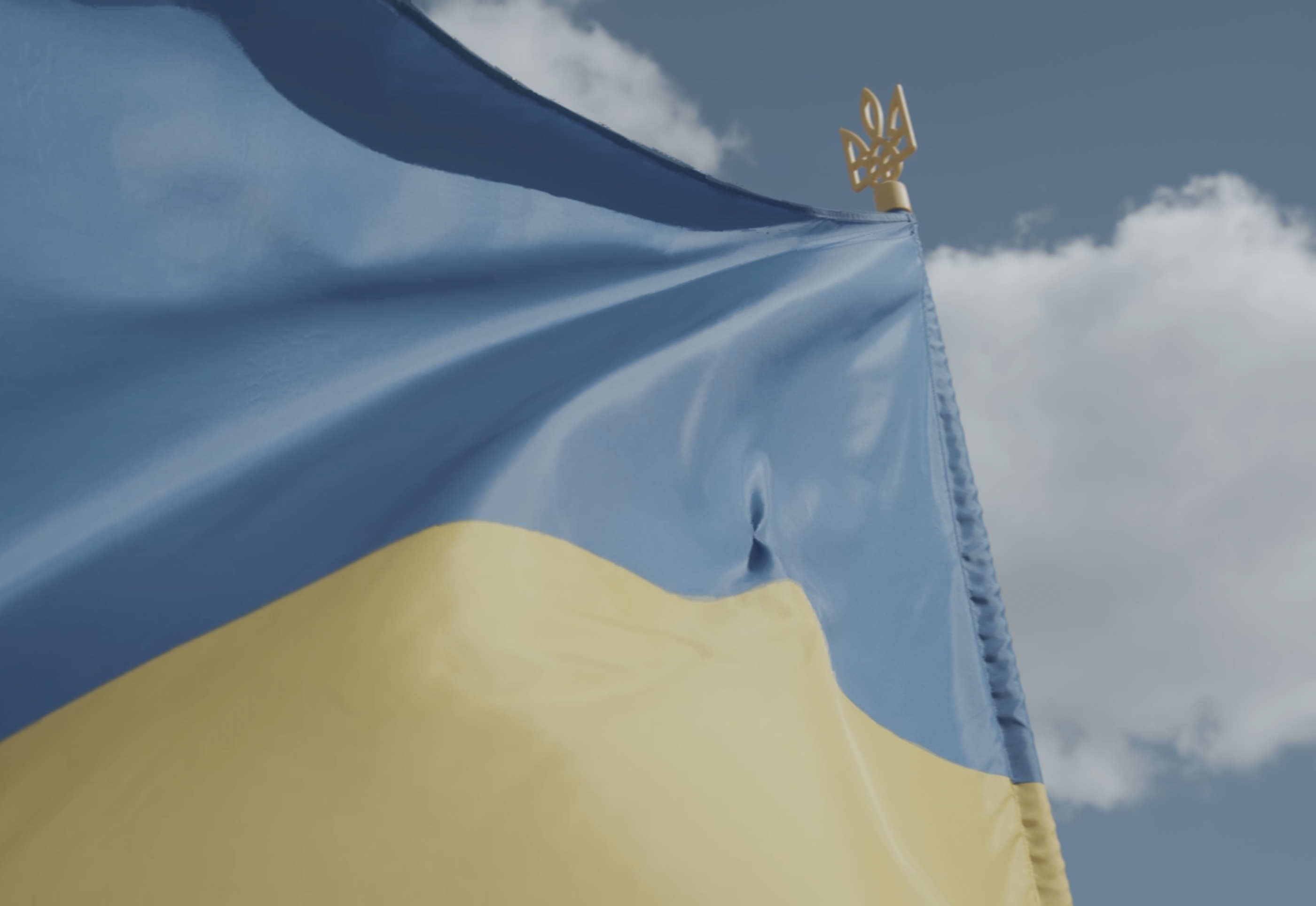 Ukraine | Disarmament Solutions